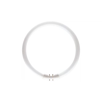 Philips TL-5C 40W/840 körfénycső 2GX13