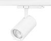 Sylvania Pixo Large Food MEAT MB WHITE LED világítás