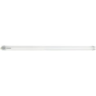 0030231 ToLEDo Neos T8 L600 900LM 865 30K RL