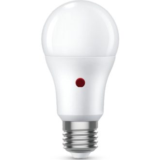 0031868 ToLEDo Light-Sense V2 GLS 806LM 827 E27