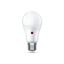 0031868 ToLEDo Light-Sense V2 GLS 806LM 827 E27