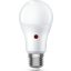 0031868 ToLEDo Light-Sense V2 GLS 806LM 827 E27