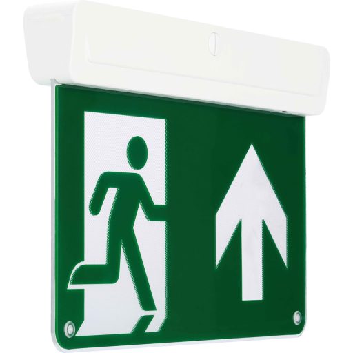 Sylvana LSF MULTIFIX EX C EM3 NM/MT ST vészvilágítás