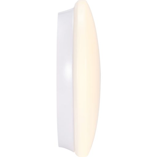 0043413 START Surface IP54 2500-4000 830/840 Emergency