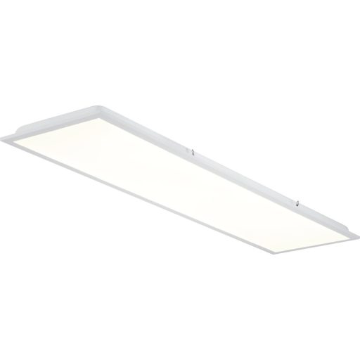 0048118 Quantum 1200X300 2200-4300LM 830 Multipower