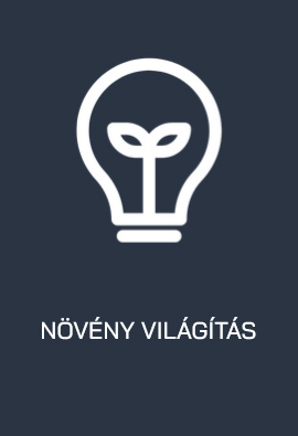 noveny_vilagitas